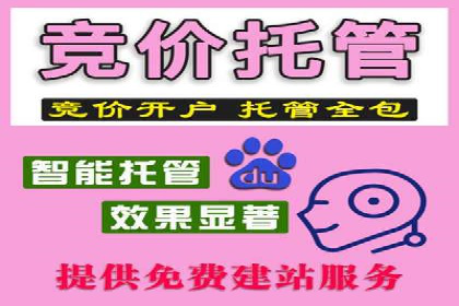 百度推广代运营的客户案例：从失败到成功的逆袭